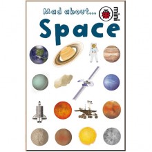 Ladybird Mad About Space
