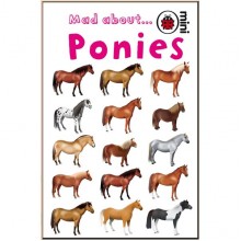 Ladybird Mad About Ponies