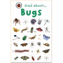 Ladybird Mad About Bugs