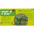 First Big Book of Bugs (National Geographic Little Kid)