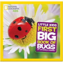 First Big Book of Bugs (National Geographic Little Kid)