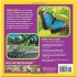 First Big Book of Bugs (National Geographic Little Kid)