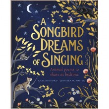Puffin A Songbird Dreams of Singing