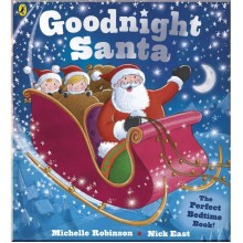 Puffin Goodnight Santa