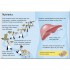 Usborne Why Do We Eat?