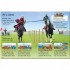 Usborne Knights
