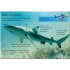 Usborne Sharks