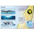 Usborne Sharks