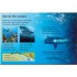 Usborne Sharks