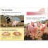 Usborne Farm Animals