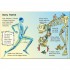 Usborne Your Body