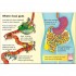 Usborne Your Body