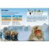 Usborne Volcanoes