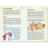 Usborne Whats Happening to Me? (Boy)