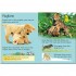Usborne Dogs