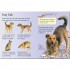 Usborne Dogs
