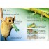 Usborne Night Animals