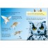 Usborne Night Animals