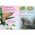 Usborne Night Animals