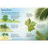 Usborne Trees