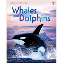 Usborne Discovery Whales and Dolphins