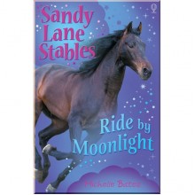 Usborne Ride by Moonlight