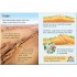 Usborne Earthquakes and Tsunamis