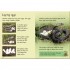 Usborne Snakes