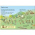 Usborne The Stone Age