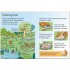 Usborne The Stone Age