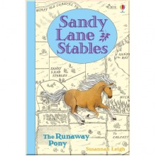 Usborne Sandy Lane Stables The Runaway Pony