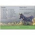 Usborne Donkeys