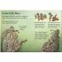 Usborne The Maya