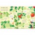 Usborne Fruit and vegetables