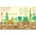 Usborne Fruit and vegetables