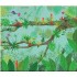 Usborne The wild garden