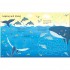 Usborne Wipe-clean under the sea activities