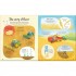 Usborne It All Starts with a Seed… How Food Grows