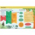 Usborne Creative writer's handbook