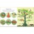 Usborne My Very First Animals Book