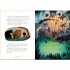 Usborne The Jungle Book