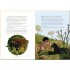 Usborne The Jungle Book