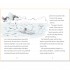 Usborne Fairy Unicorns Enchanted River