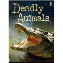 Usborne Deadly Animals