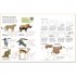 Usborne Drawing animals