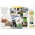 Usborne Drawing animals
