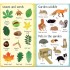 Usborne 199 Things in the Garden