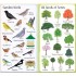 Usborne 199 Things in the Garden