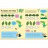 Usborne Wipe-Clean Dividing