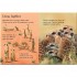 Usborne Meerkats
